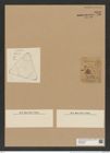 Triceratium neglectum Grev. (de-Toni-Nr.: Genus 140, Species 3904) Zeichnungen Sammlung Grunow Nr. 7389 (NHMW-BOT-W0376458)